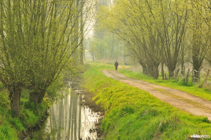 Natuurreservaat Vlassenbroekse Polder