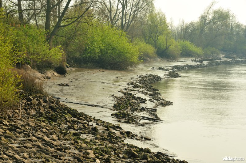 Scheldeoever Vlassenbroekse Polder