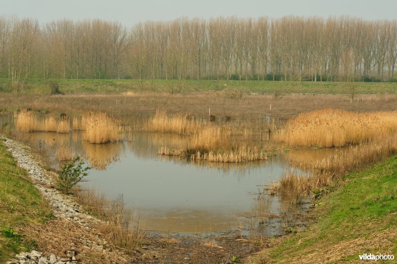 Gecontroleerd gereduceerd getij Lippensbroek