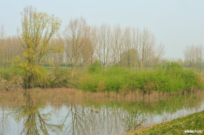 Gecontroleerd gereduceerd getij Lippensbroek