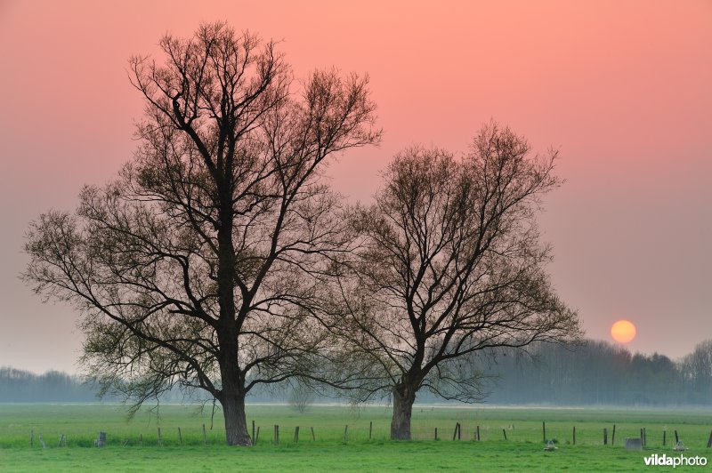 Zonsondergang aan de Kalkense Meersen