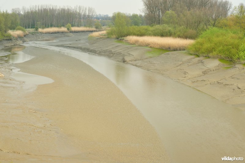 Zoetwaterschor van de Durme