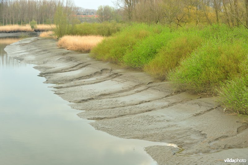 Zoetwaterschor van de Durme