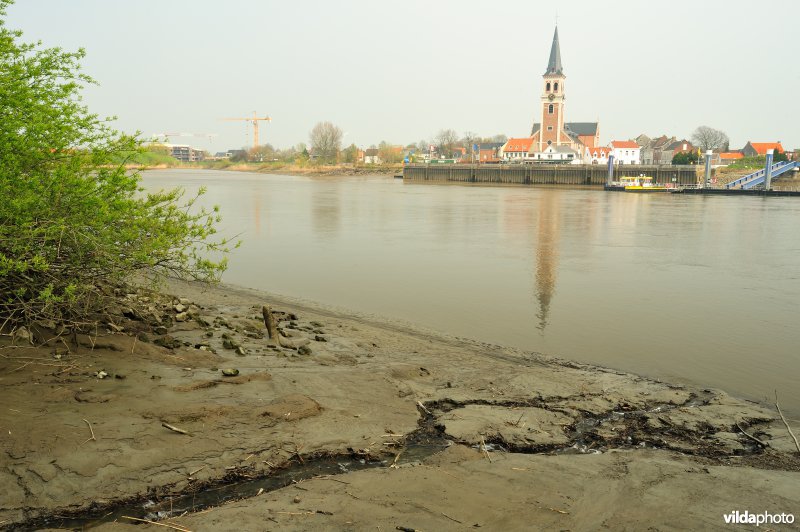 Zoetwaterschor van Sint-Amands