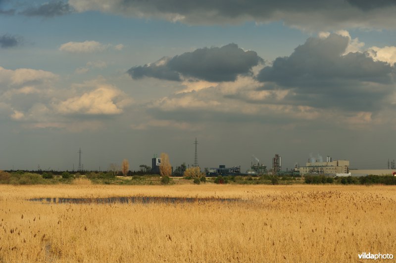 Groot Rietveld van Kallo