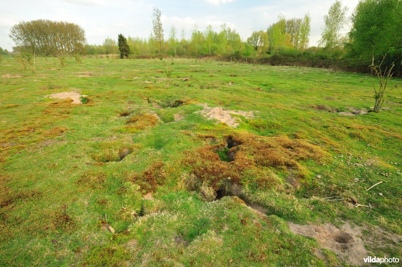 Landduinen in de Wijmeersen deel 1