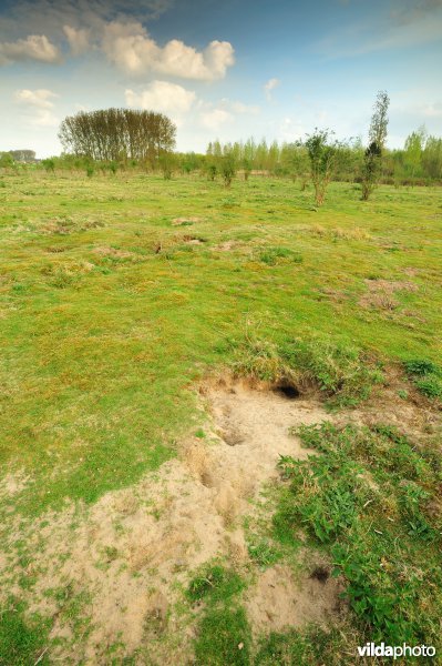 Landduinen in de Wijmeersen deel 1