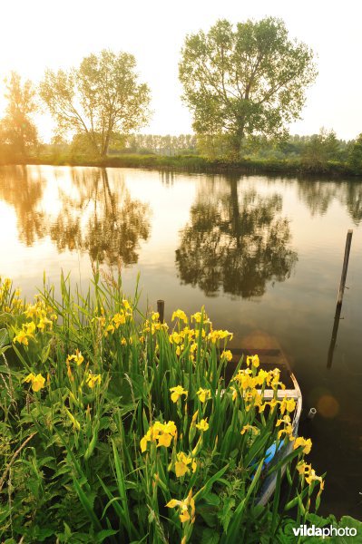 Natuurreservaat Oude Durme