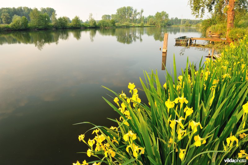 Natuurreservaat Oude Durme