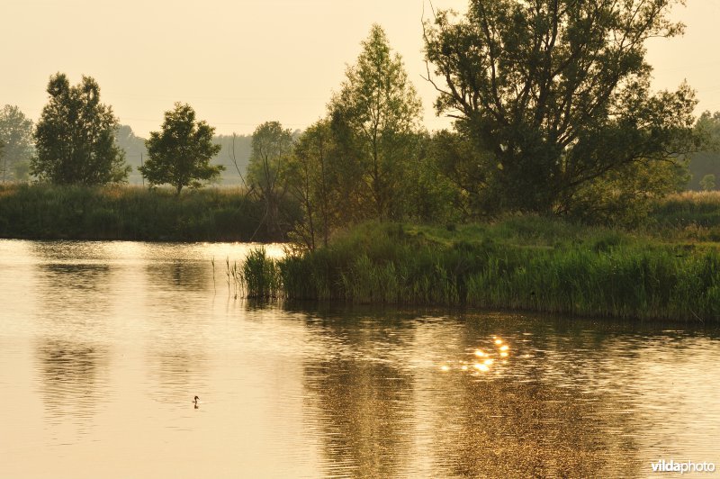 Natuurreservaat Oude Durme