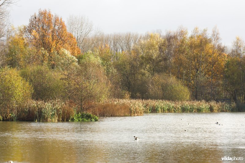 Provinciaal domein Broek De Naeyer