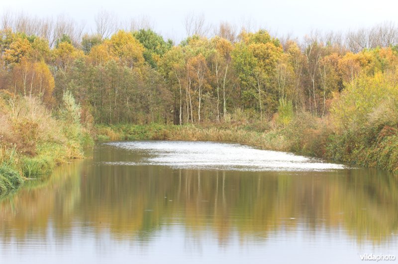 Provinciaal domein Broek De Naeyer