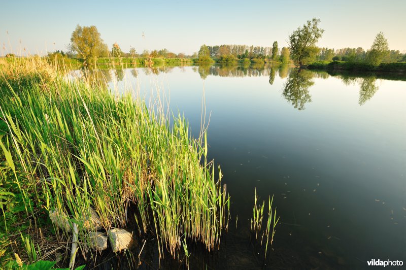 Natuurreservaat Oude Durme
