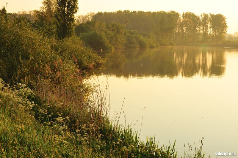 Natuurreservaat Oude Durme