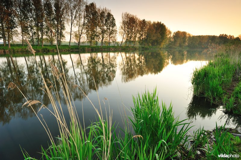 Natuurreservaat Oude Durme
