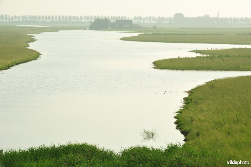 Brakke kreek