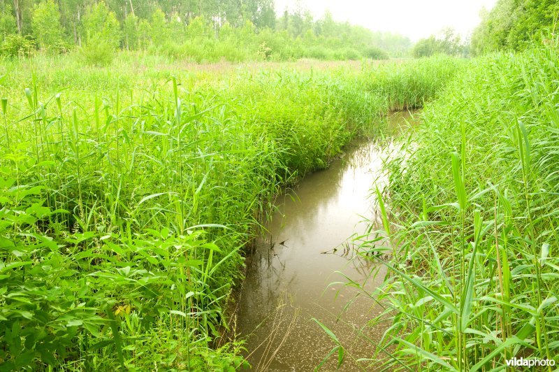 Vlassenbroekse polders