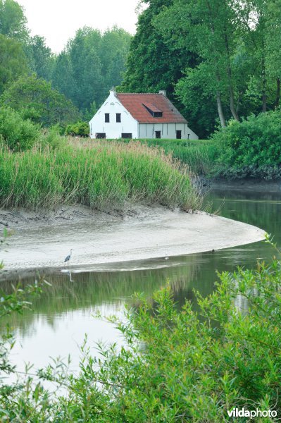 De Durme in Hamme