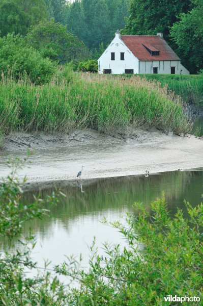 De Durme in Hamme