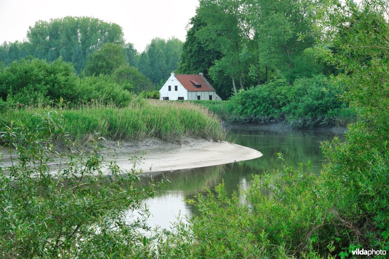 De Durme in Hamme