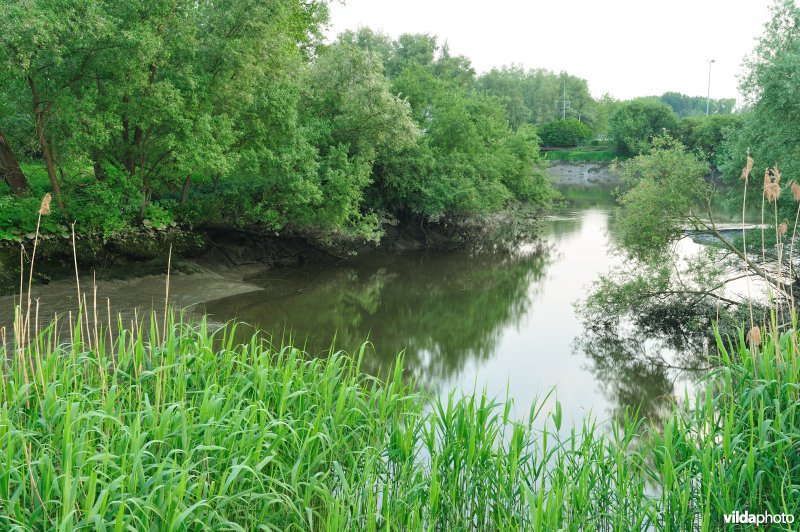 De Durme in Hamme