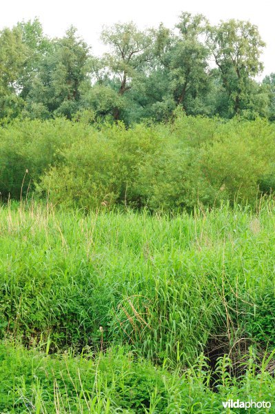 De Durme in Hamme
