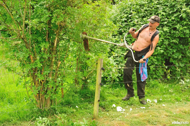 Natuurarbeider