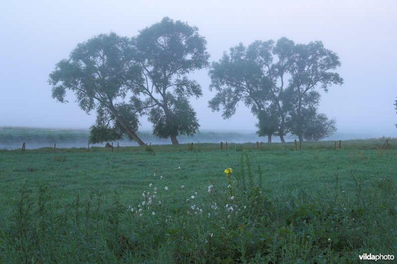 Vallei van de Biebrza