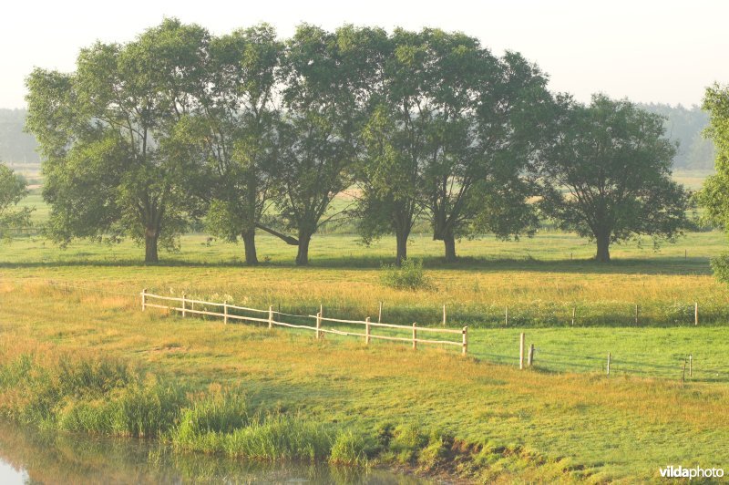 De Narew rivier