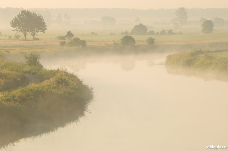 De Narew rivier