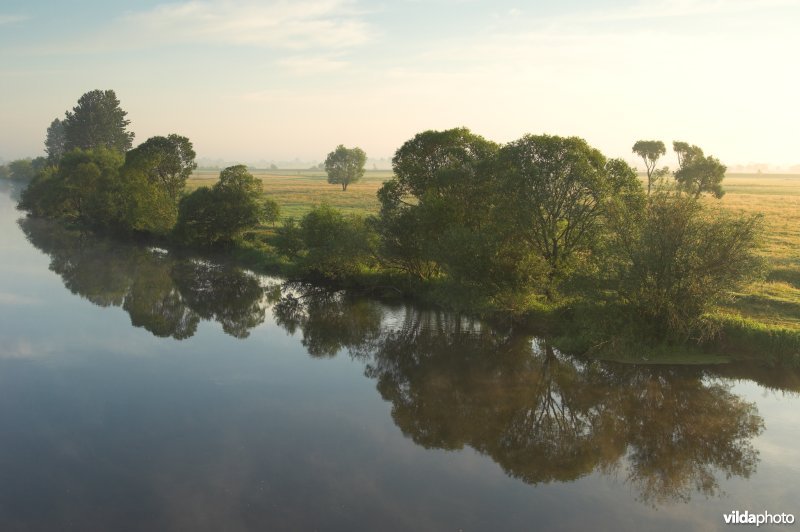 De Narew rivier