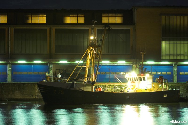 De vissershaven van Oostende