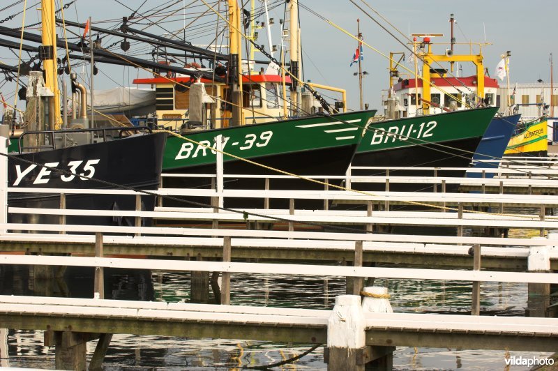 De haven van Bruinisse