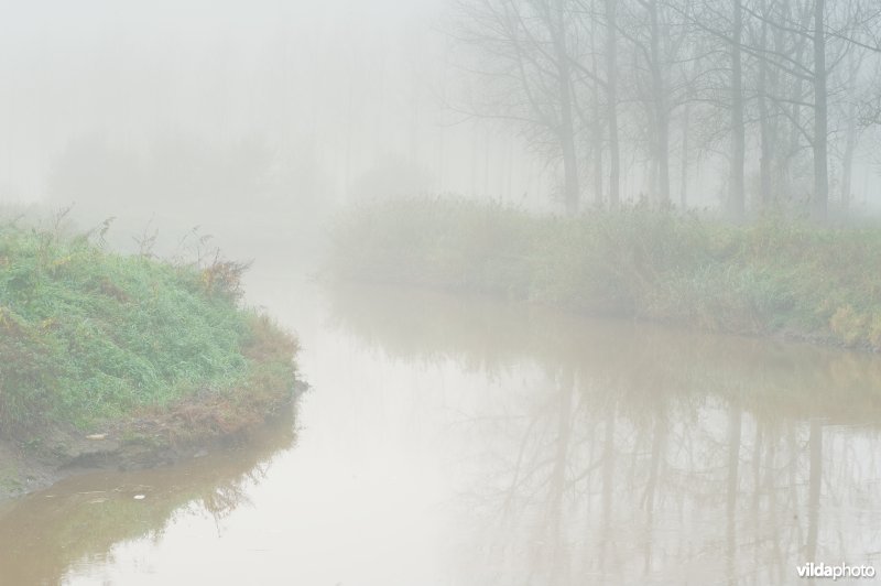 Demervallei te Zichem