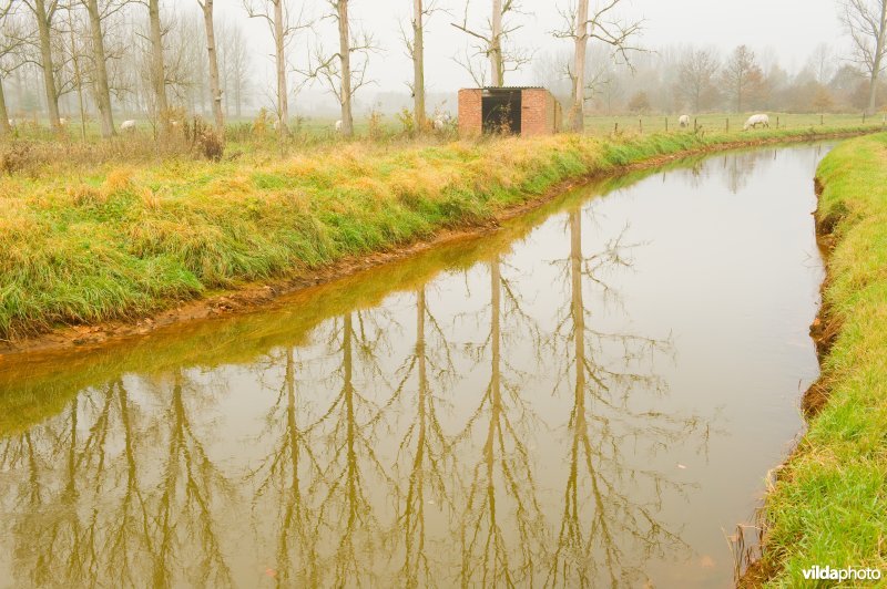 Leigracht in de Demerbroeken