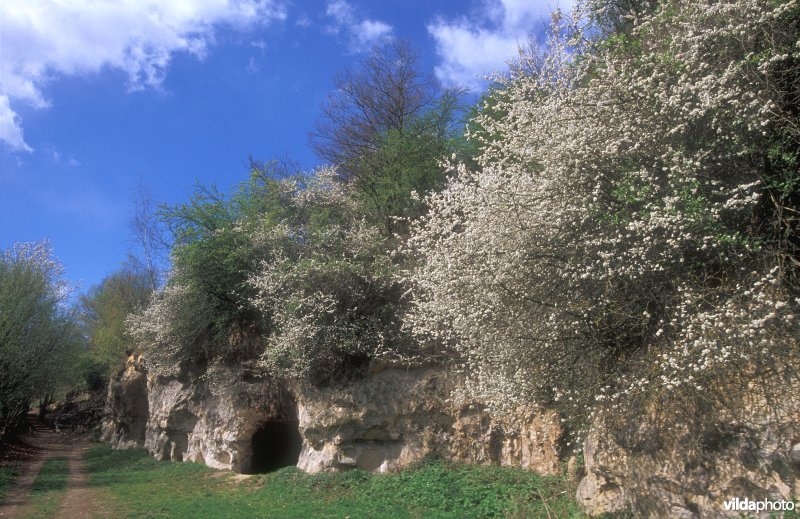 Mergelgrot te Lanaye