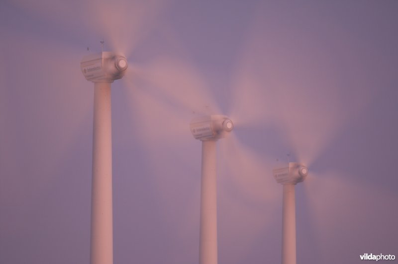 Windmolens in Zeebrugge