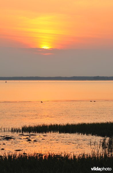 Zonsondergang in het Groot Buitenschoor