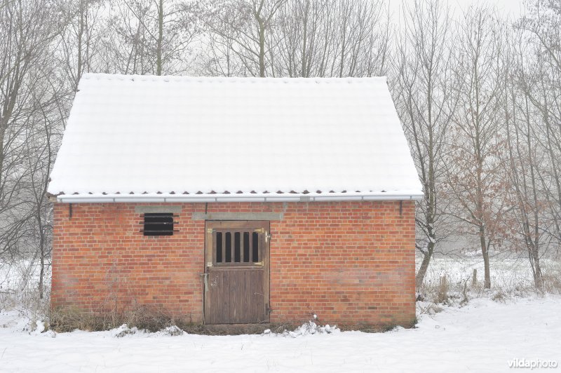 Paardenstal in de Demerbroeken