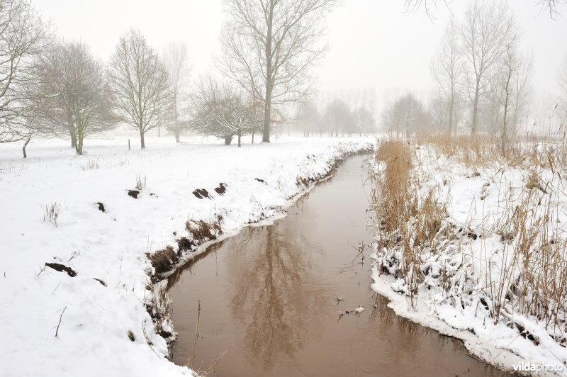 Leigracht in de Demerbroeken