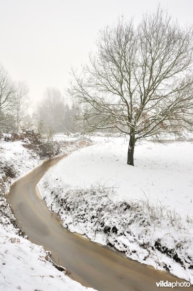 Leigracht in de Demerbroeken