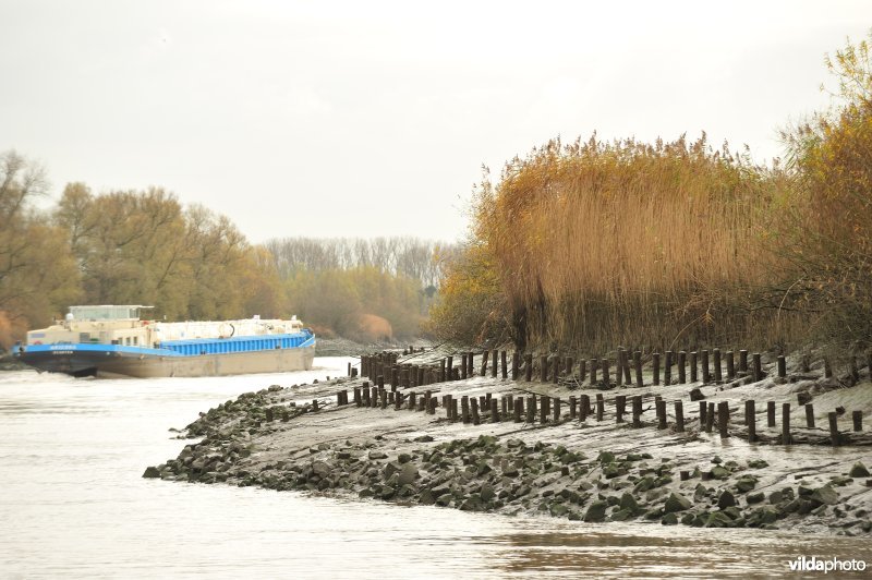 Steenstort op de Schelde oever