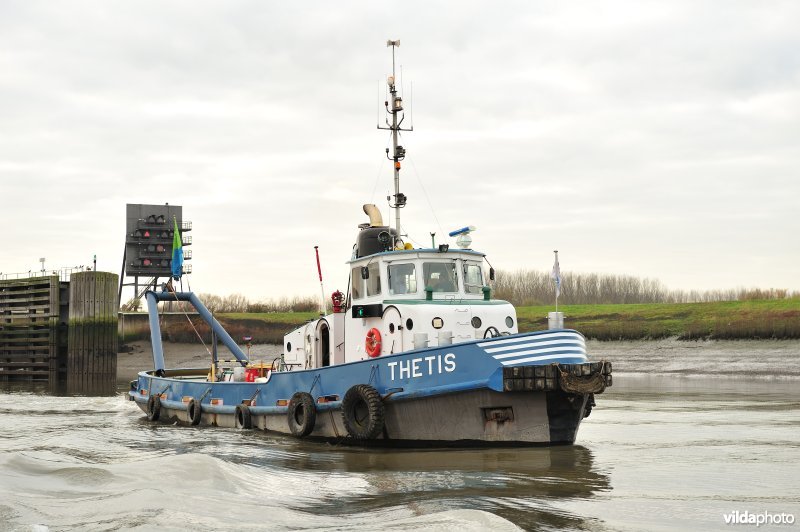 Sleepboot op de Schelde