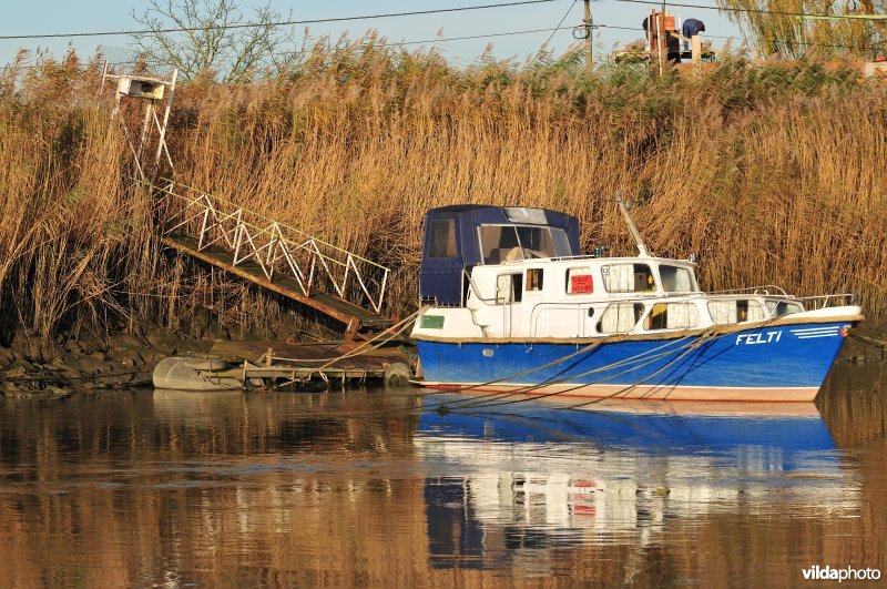 Plezierbootje op de Schelde