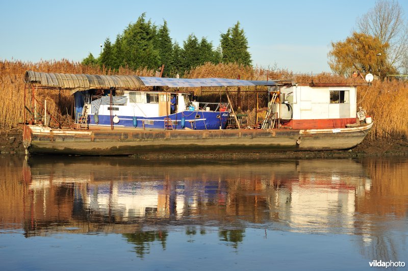 Plezierbootje op de Schelde