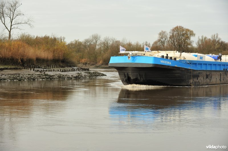 Vrachtboot op de Schelde