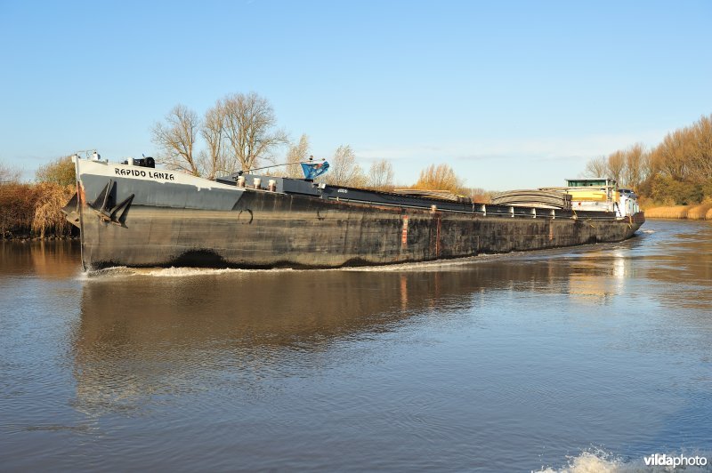 Vrachtboot op de Schelde