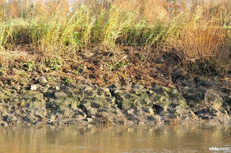 Steenstort op de Schelde oever