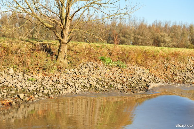 Steenslag langs de oever van de Schelde