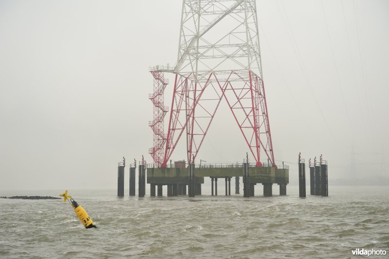 Hoogspanningsmast langs de Schelde